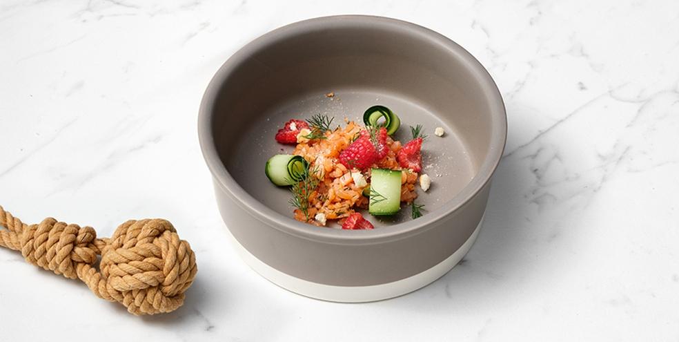 Visschotel à la Zalmatiër (Gerookte zalm-tartaar met verse dille)